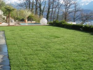 Rasen - HJB Garten GmbH